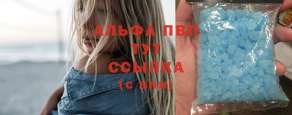 ECSTASY Алзамай