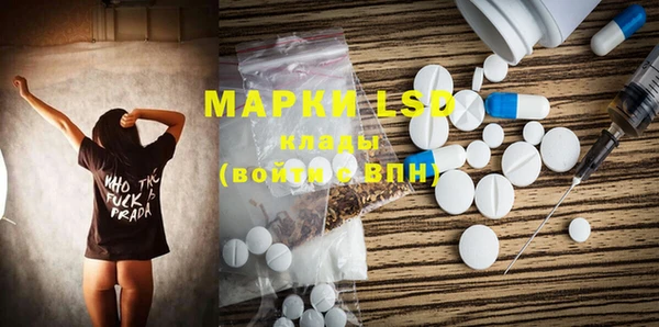 ECSTASY Алзамай