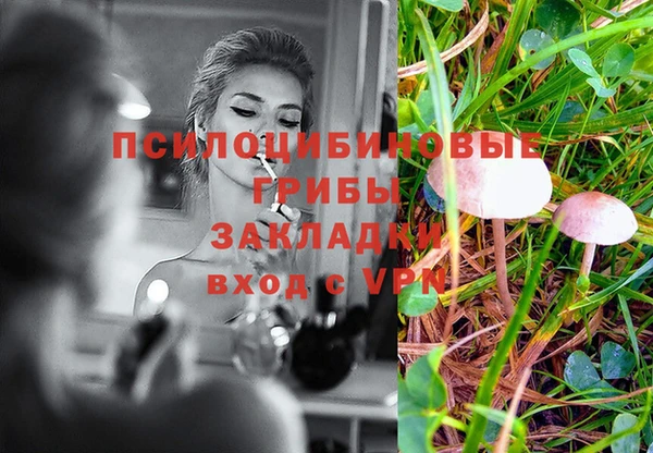 соль курить ск Алексин