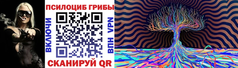 сколько стоит Лодейное Поле KRAKEN tor Псилоцибиновые грибы MAGIC MUSHROOMS